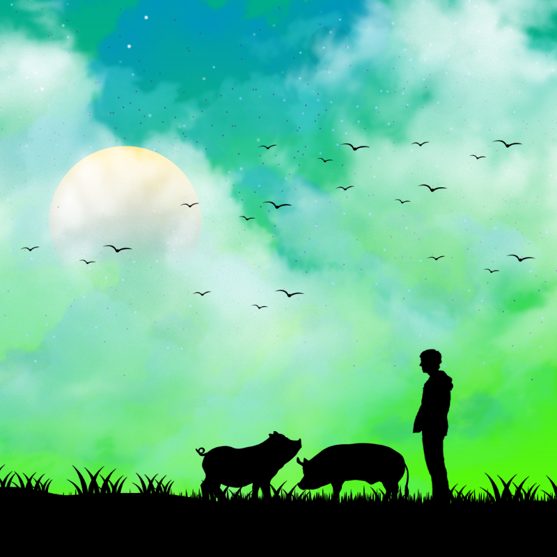 We Care...Pig #5 static token preview