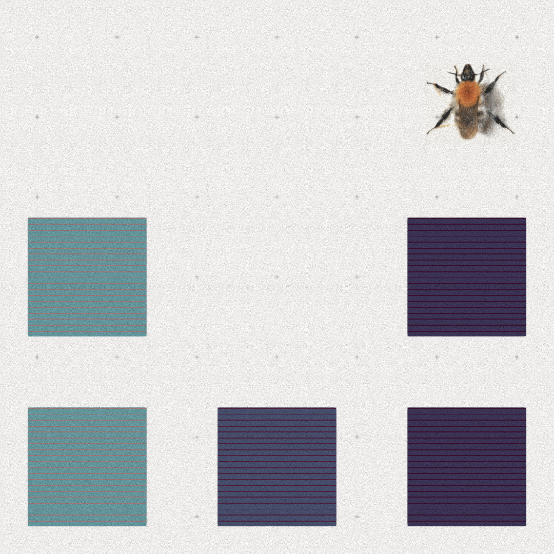 Bee #13 static token preview