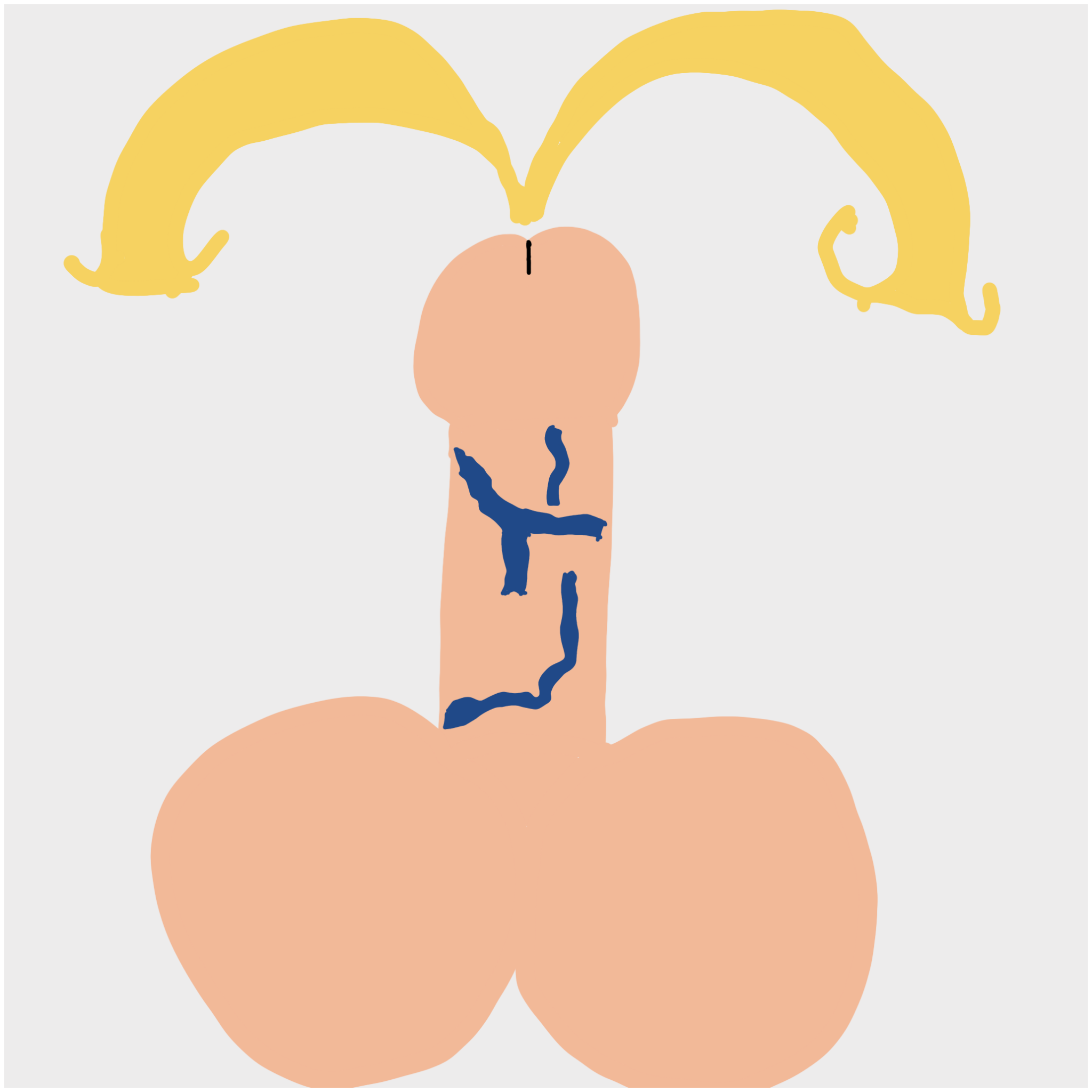 Dickgenerative Art #37 static token preview