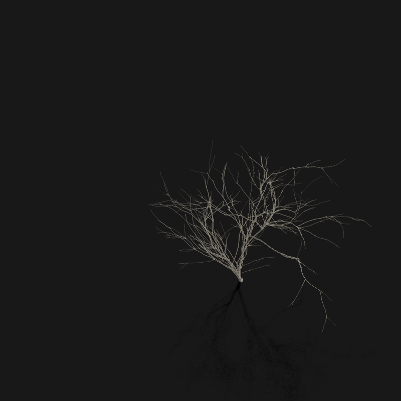 treeSteps static project preview