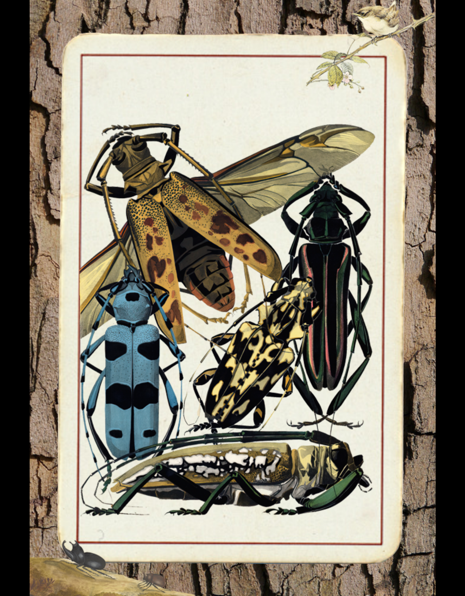 Paper Bugs #5 static token preview