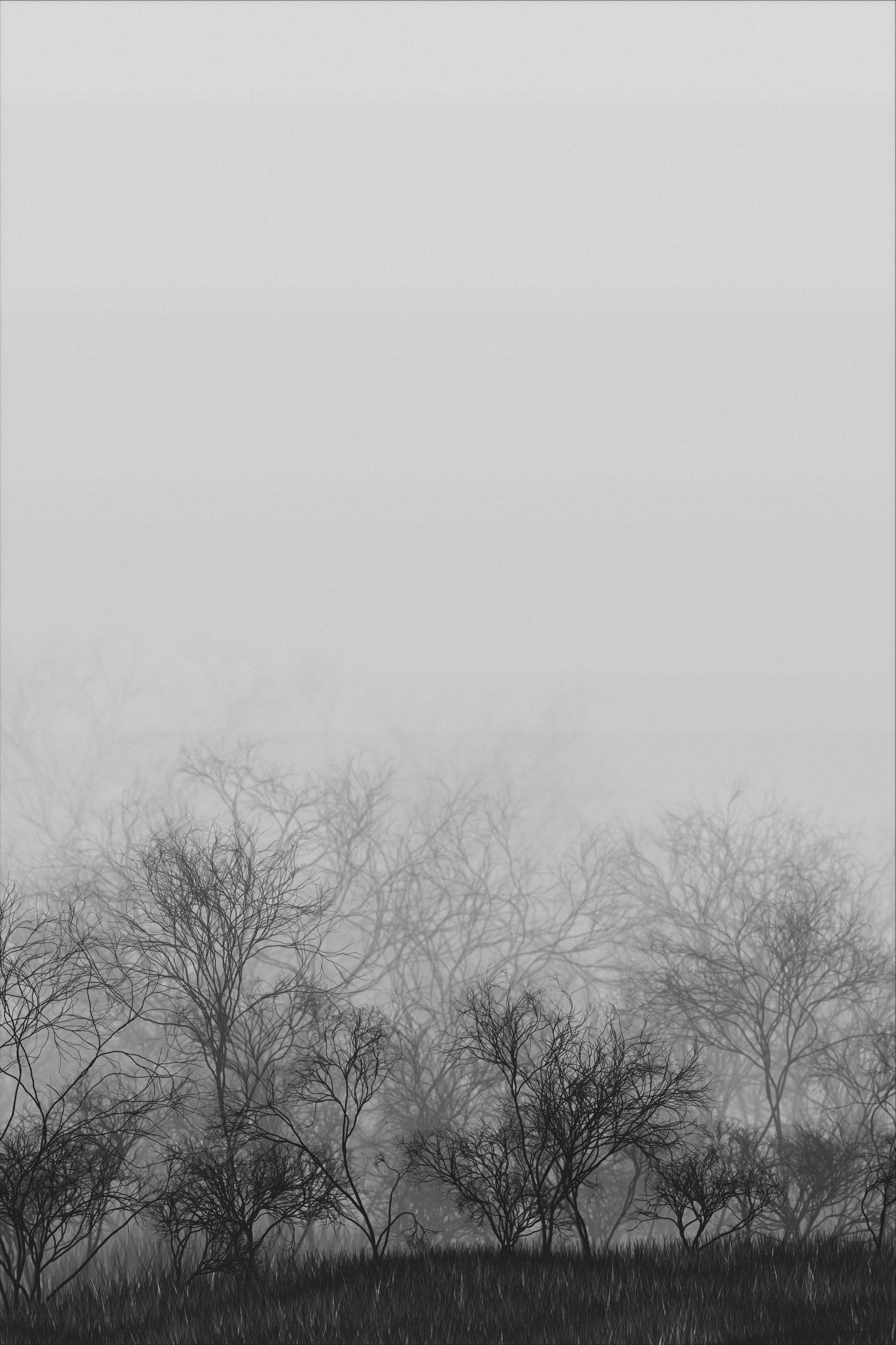 Rudeneja #23 static token preview