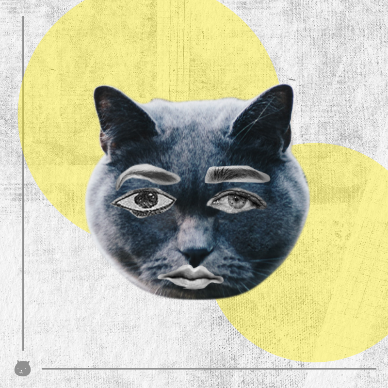 Kittenstein #13 static token preview