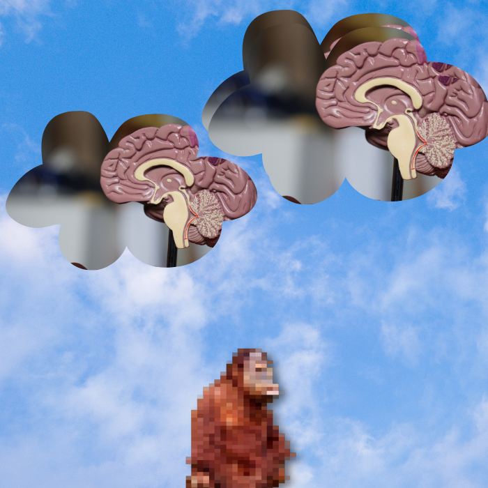 Anxious monkeys #18 static token preview