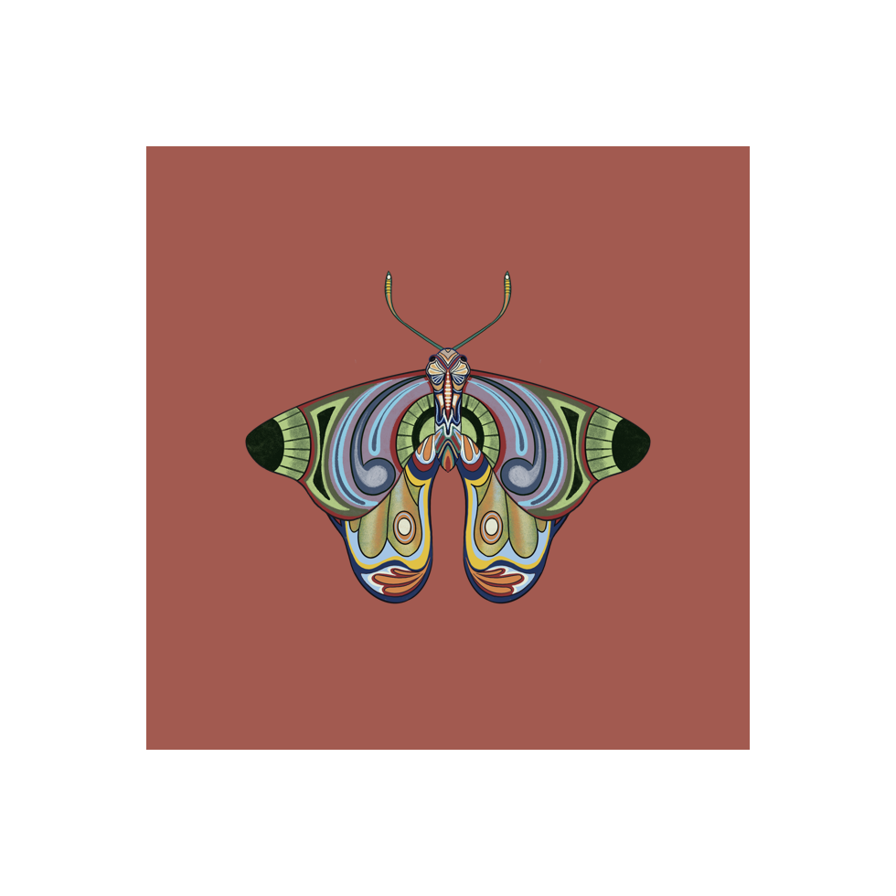 The Moth Experiment #2 static token preview