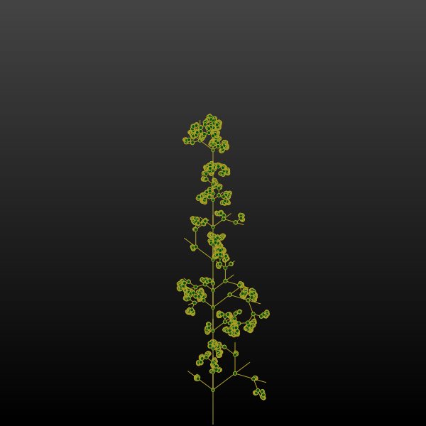 Verse-Plants #1 static token preview