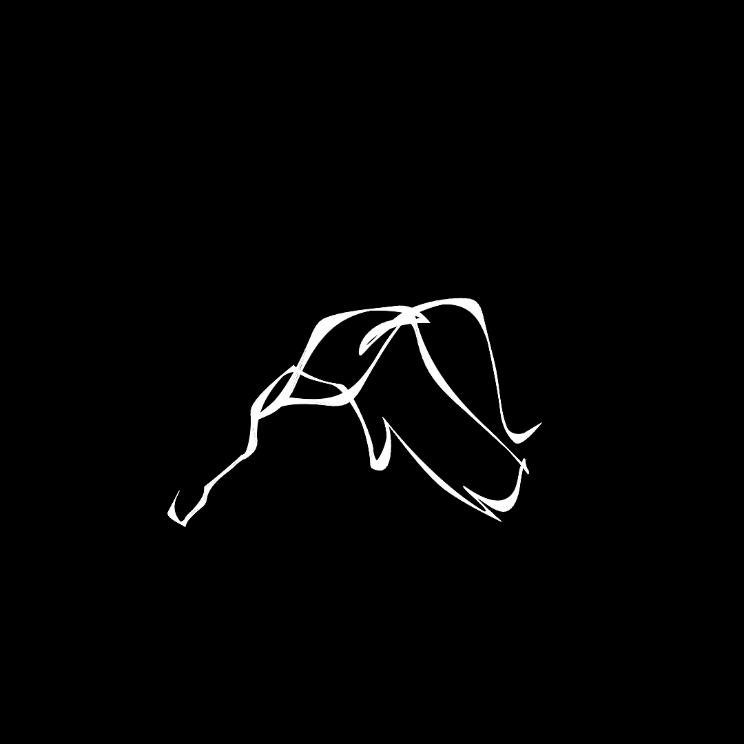 What do you see? #62 static token preview