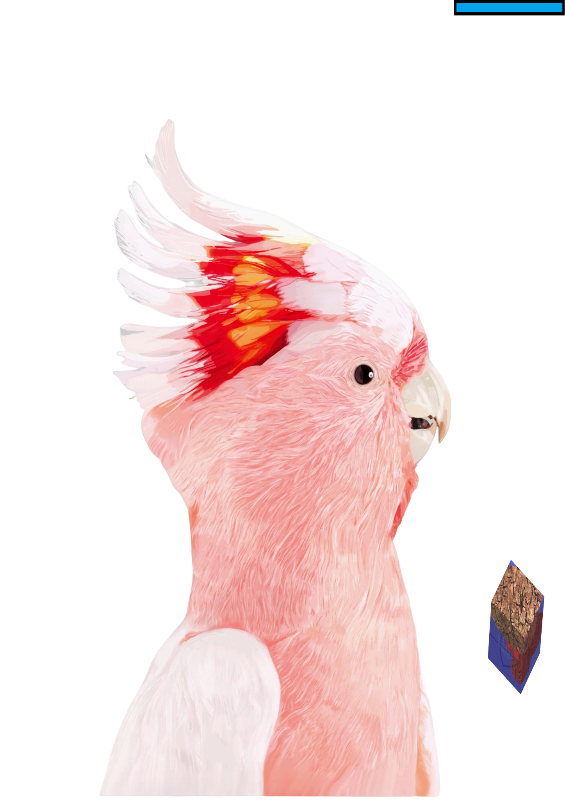 Animaleando #7 static token preview