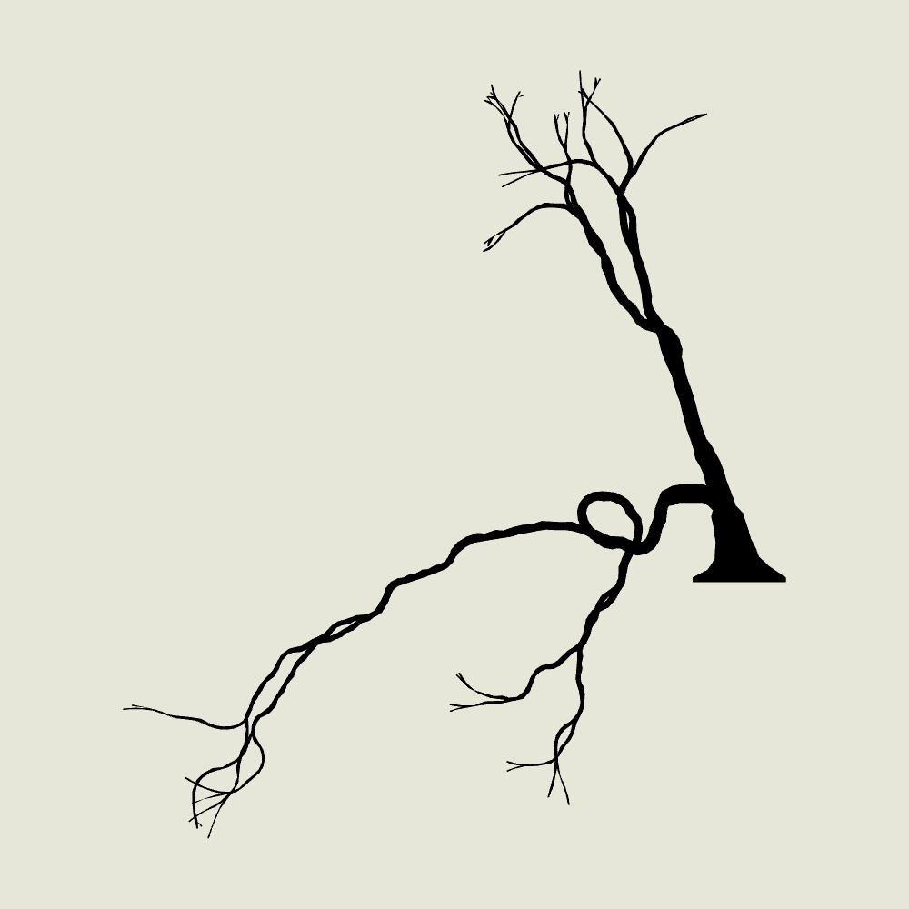 gnarly tree #12 static token preview