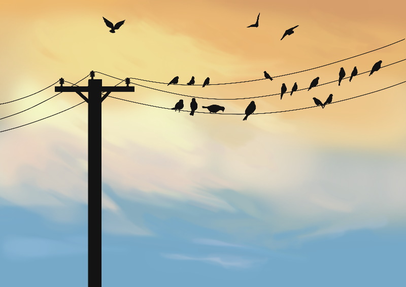 Online Birds #14 static token preview