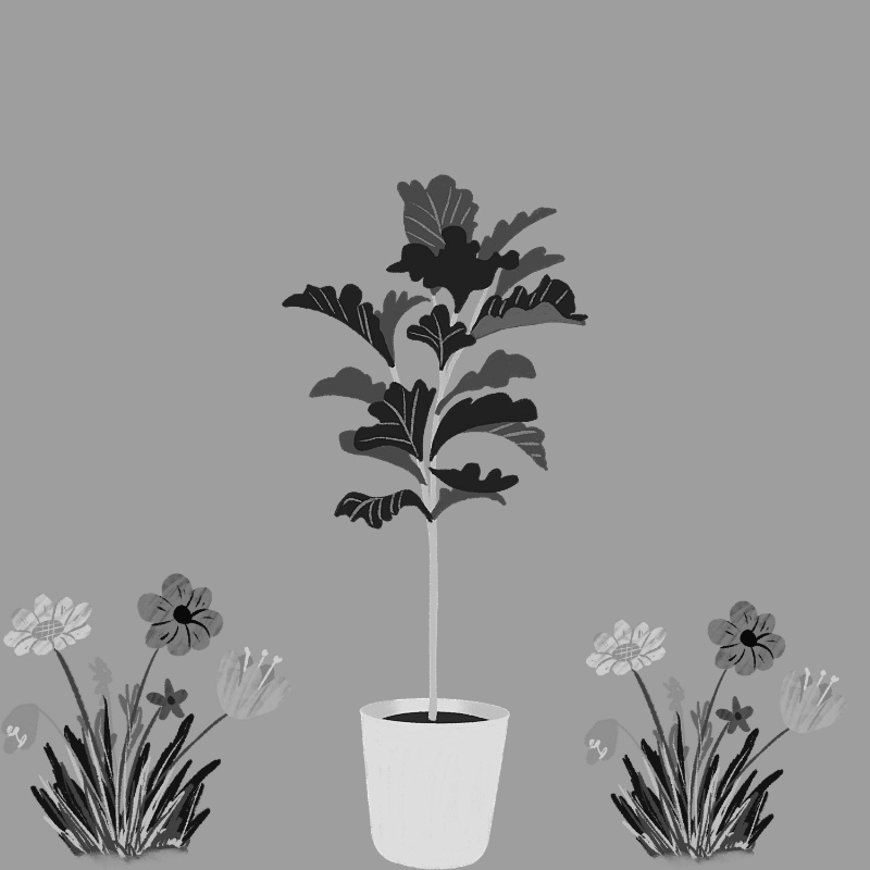 Plants #3 static token preview