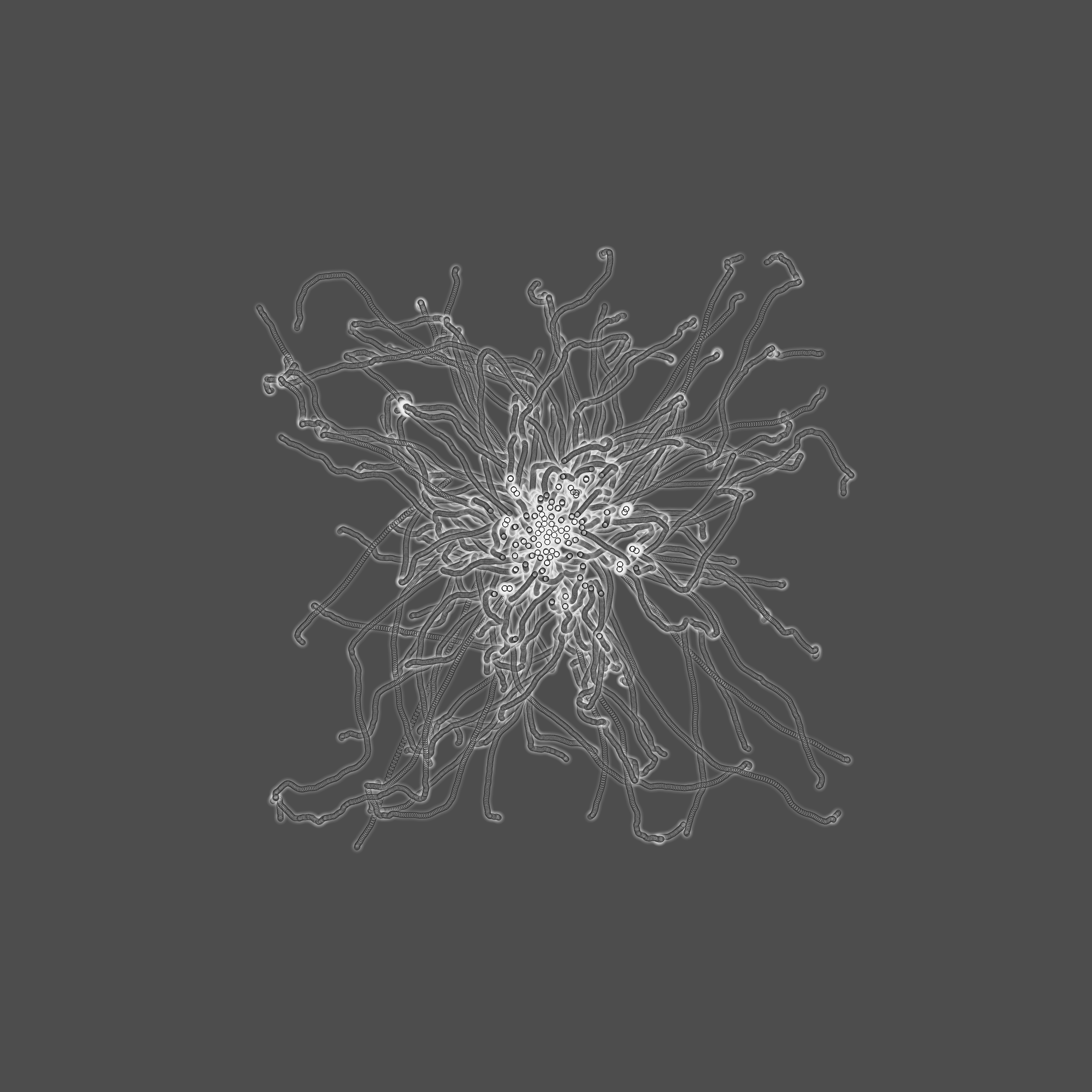 grey fungi wisdom #7 static token preview