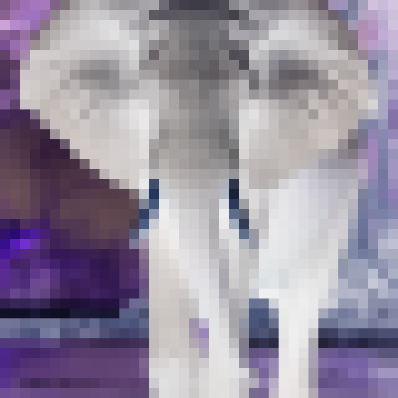 Endangered Animals #2 static token preview