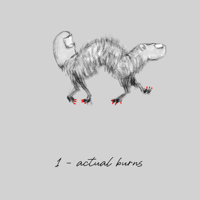 Name your cat #5 static token preview