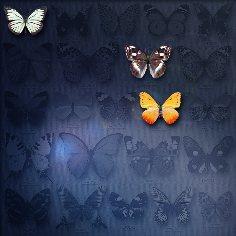 Save Butterfly World #23 static token preview