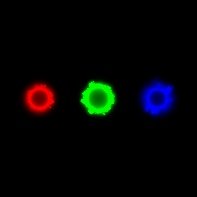 Physarum polycephalum #9 static token preview