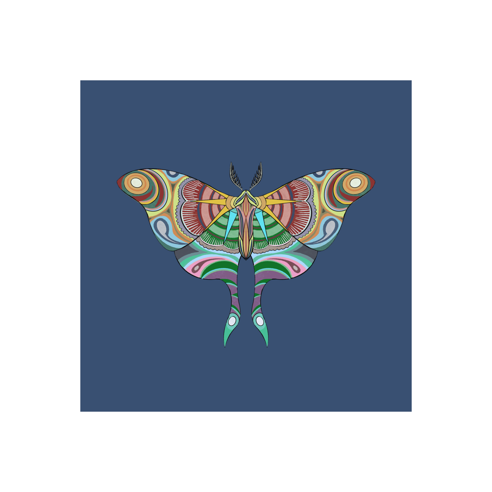 The Moth Experiment #7 static token preview