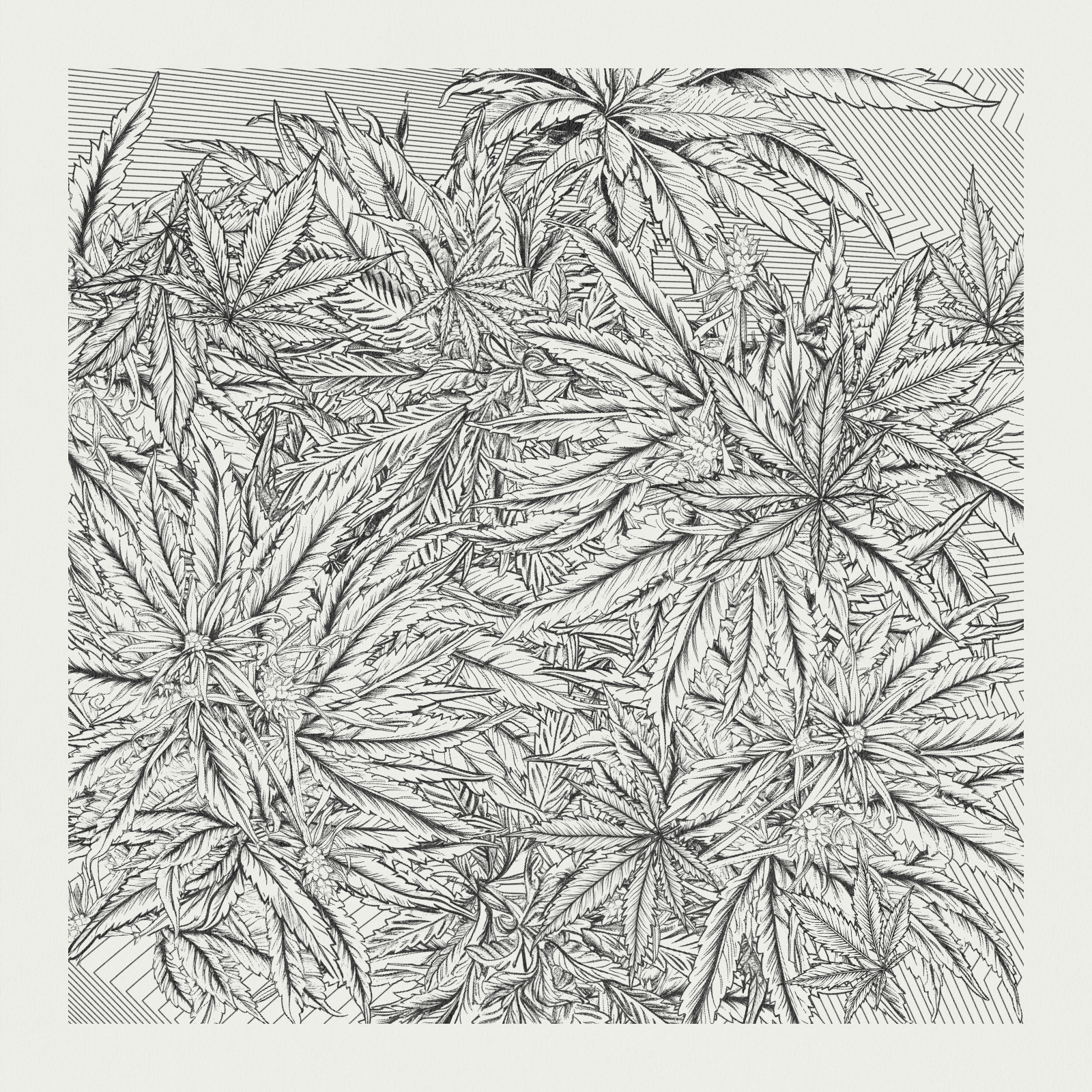 zancannabis #4 static token preview