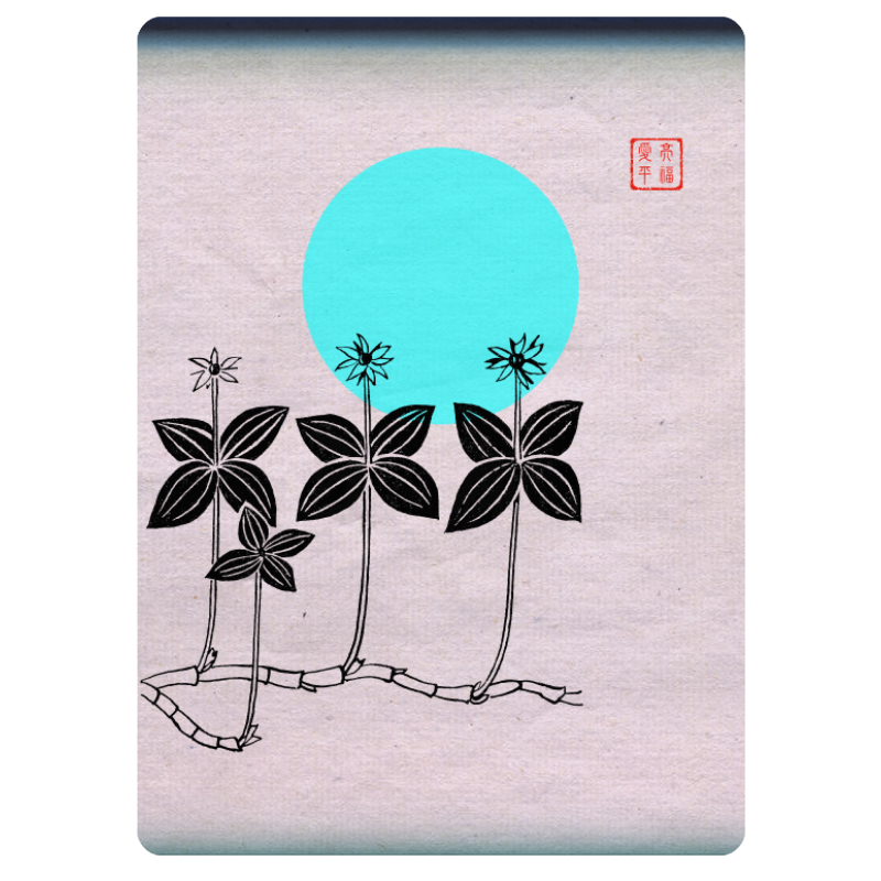 Zen flower card #3 static token preview