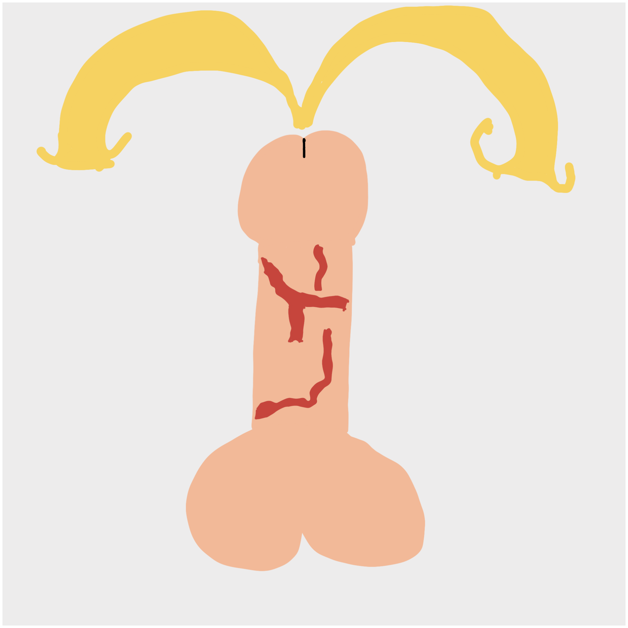 Dickgenerative Art #9 static token preview
