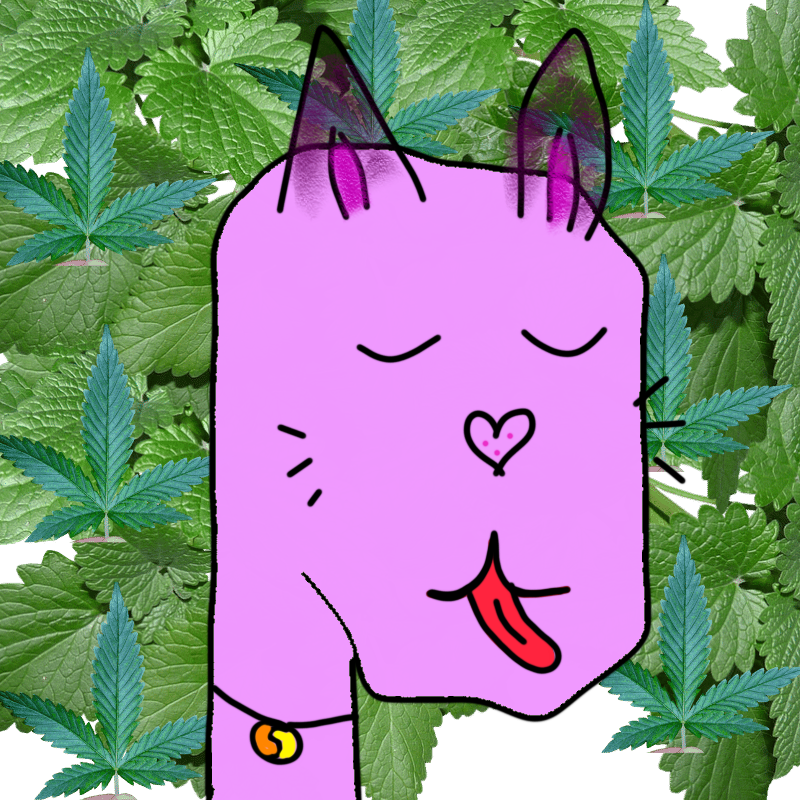 hi CAT lucas #10 static token preview