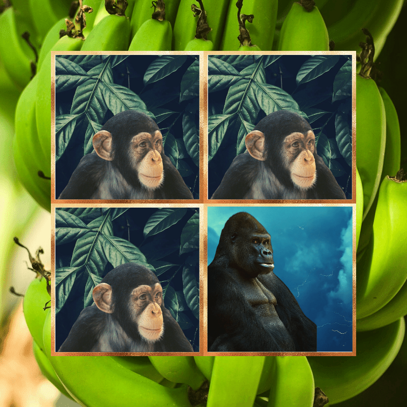 Banana legends #5 static token preview
