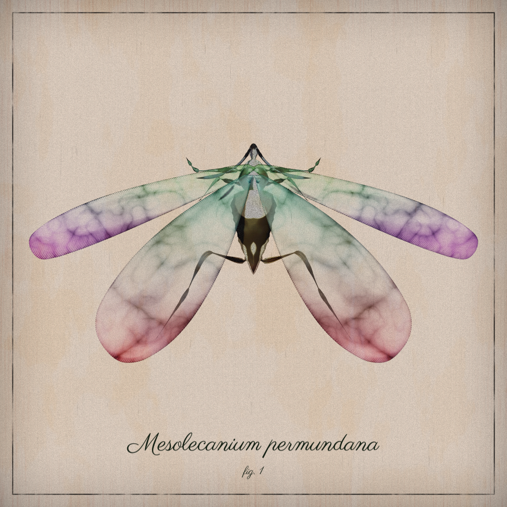 ProcGen Entomology #11 static token preview