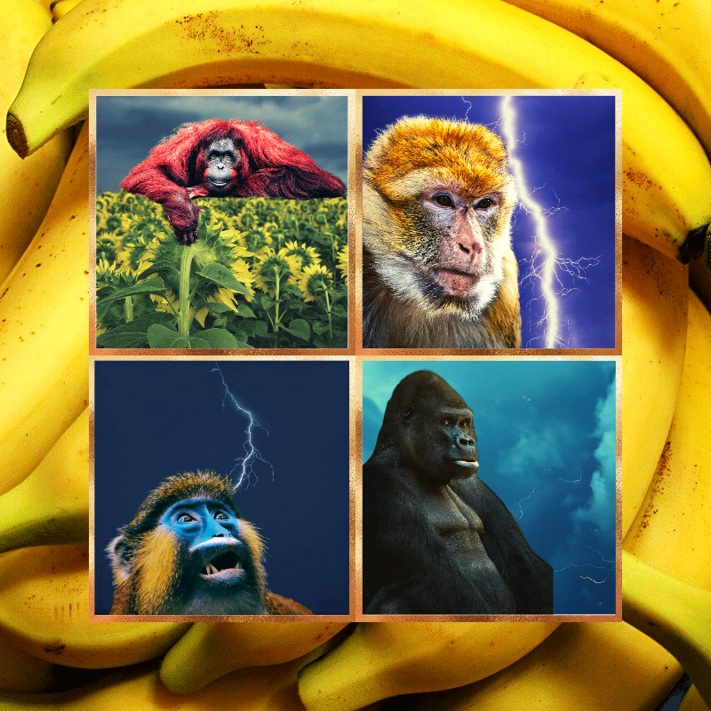 Banana legends #2 static token preview