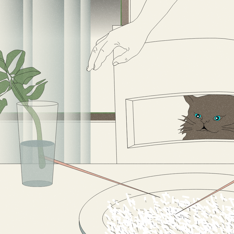 Still Life #6 #14 static token preview