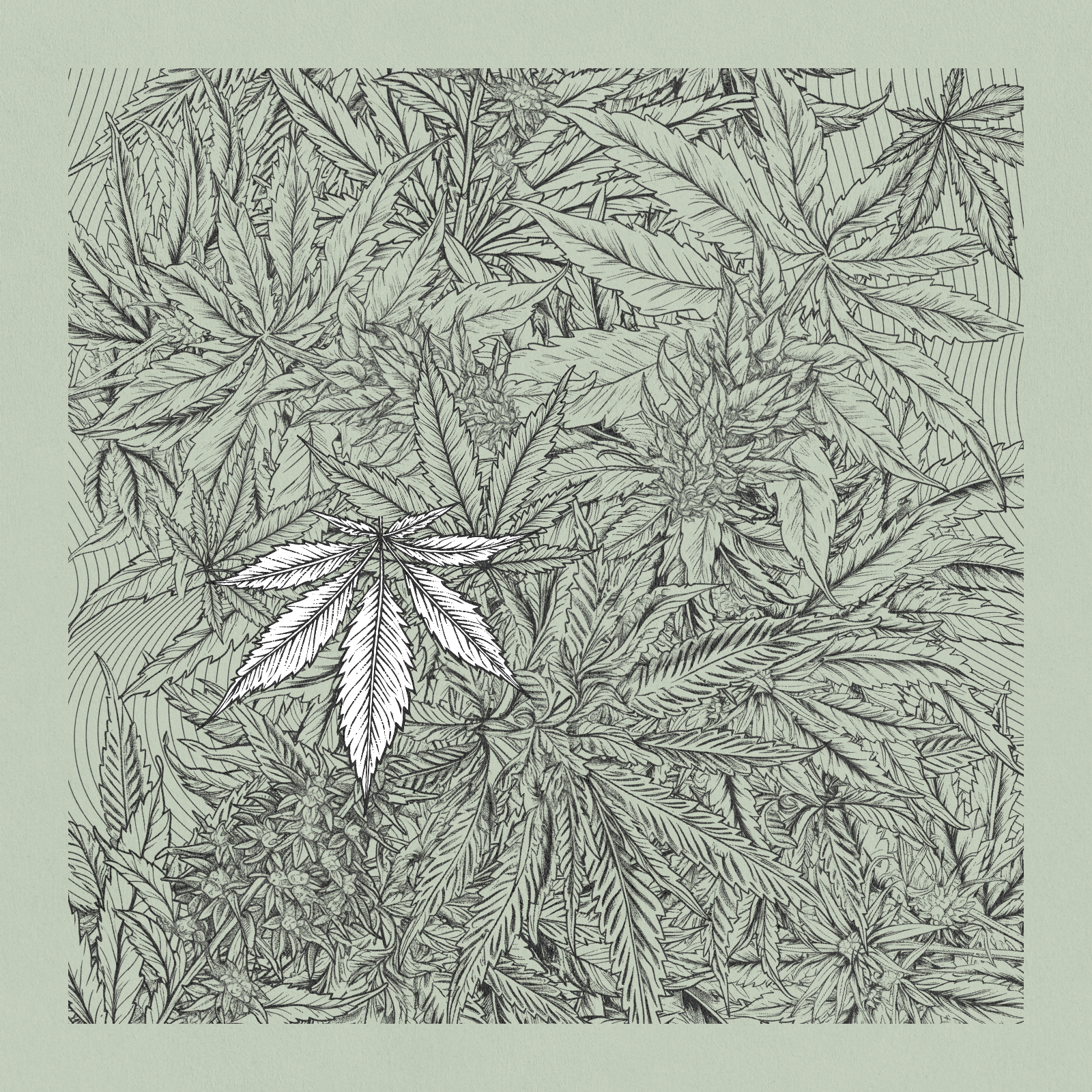 zancannabis #17 static token preview