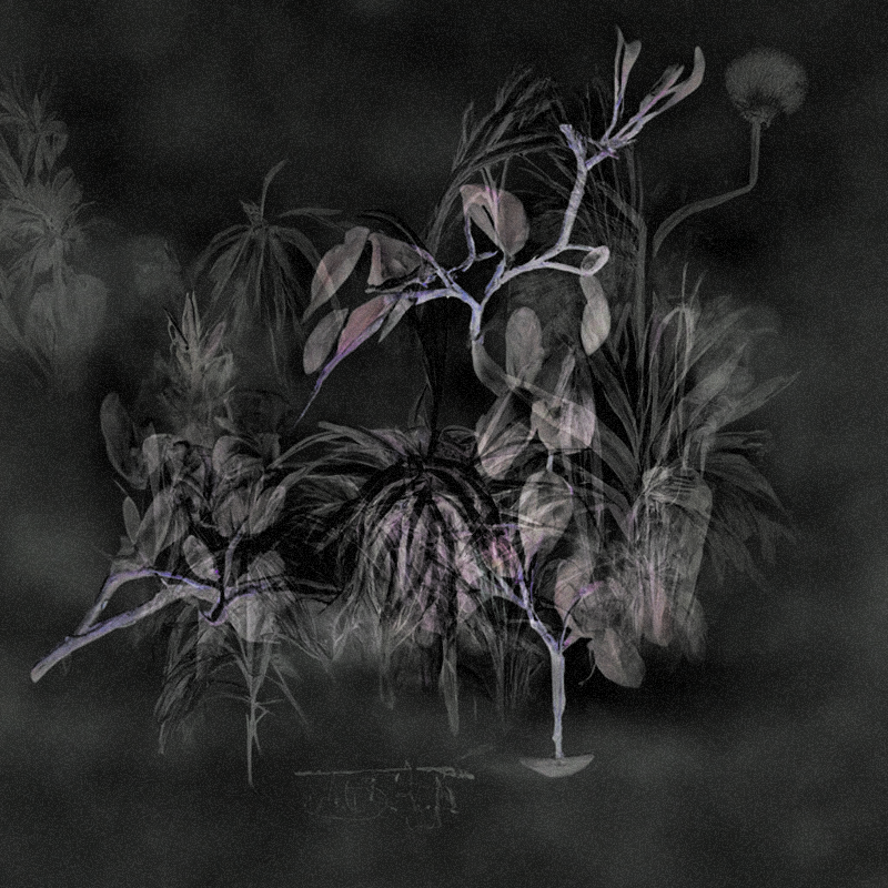 Hauntological Herbarium #11 static token preview
