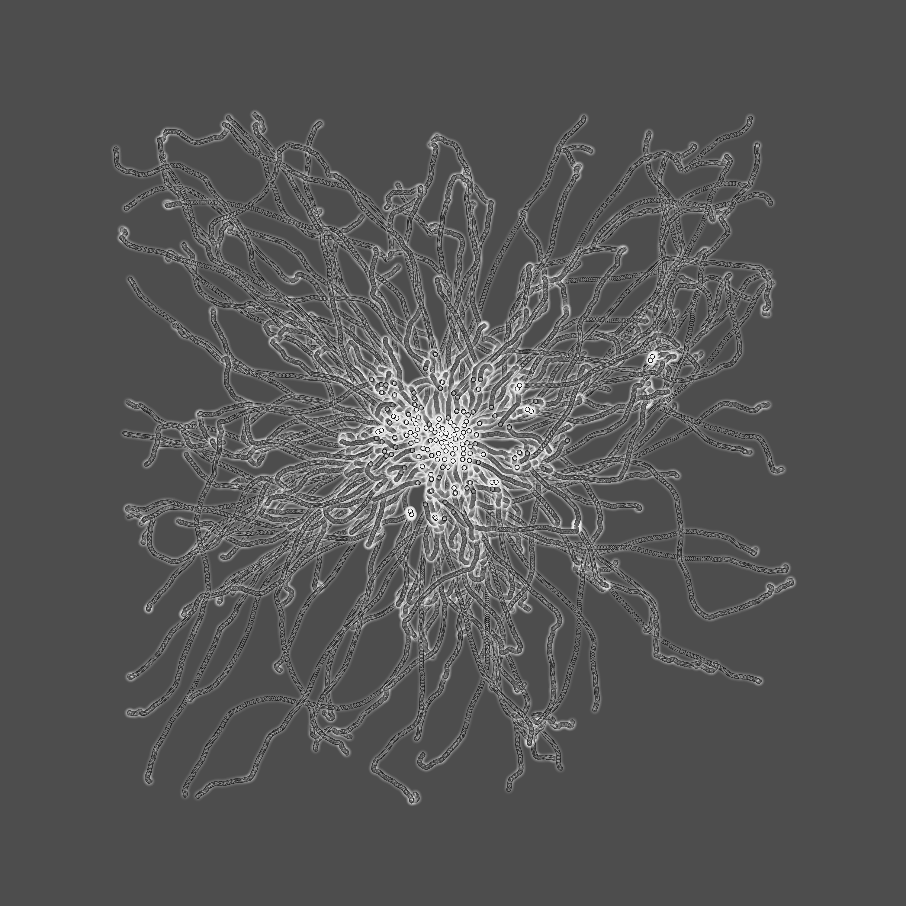 grey fungi wisdom #93 static token preview