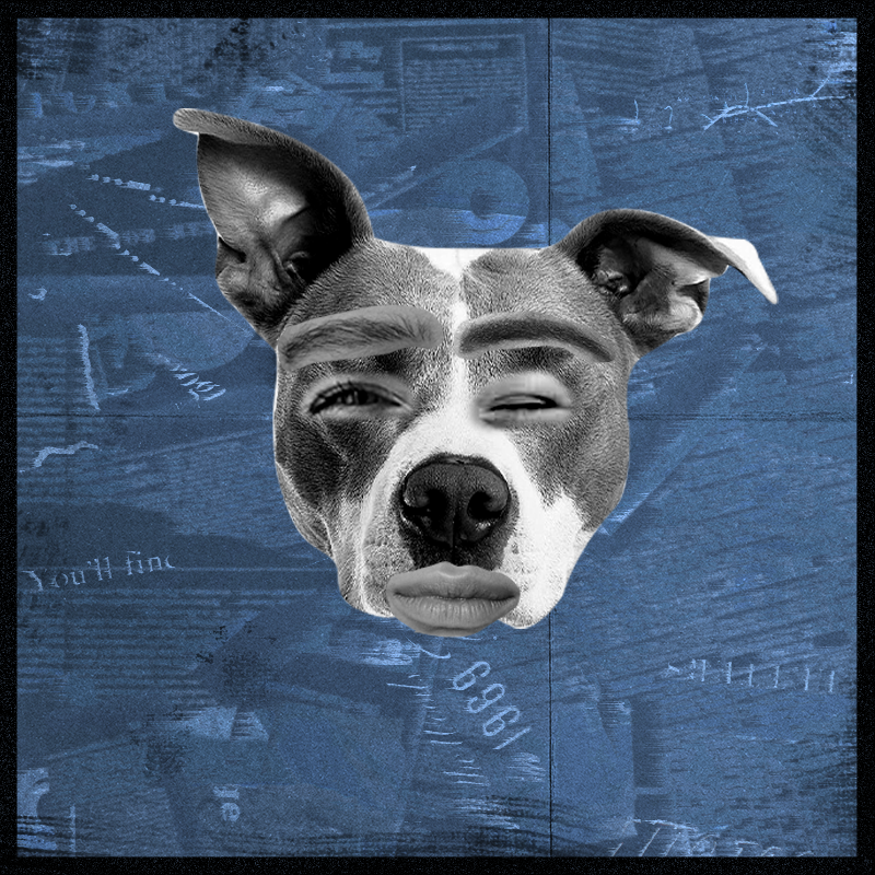 Doggenstein #1 static token preview