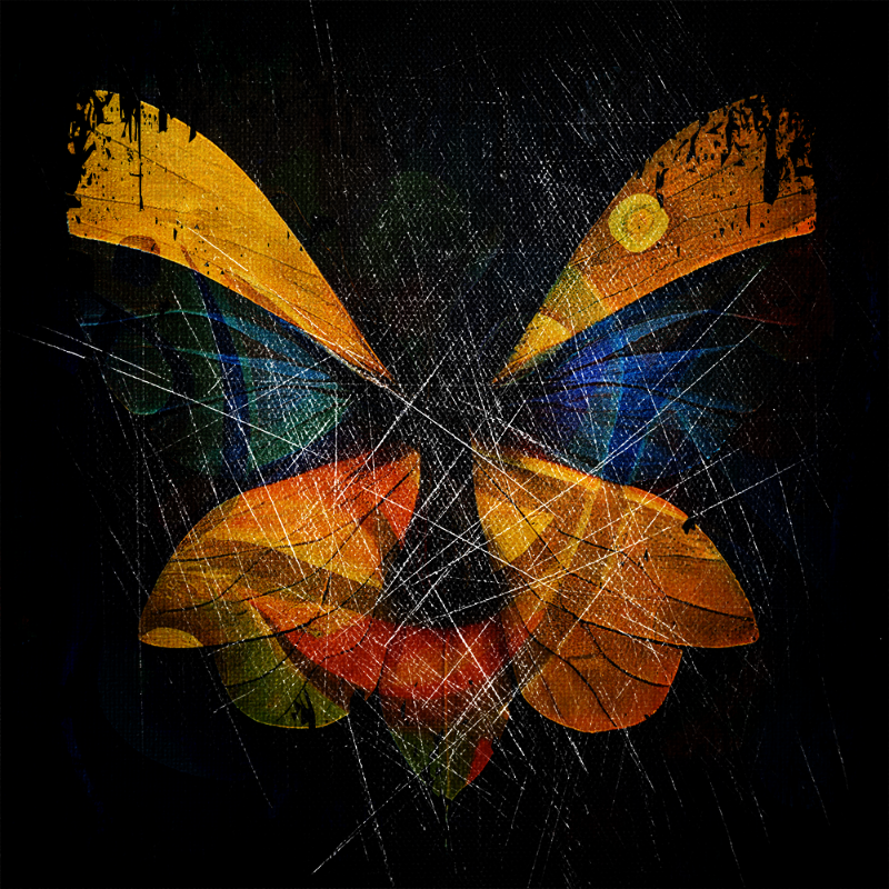 AI Butterfly #6 static token preview