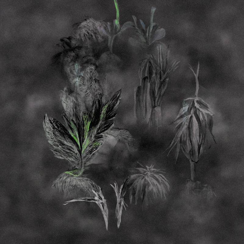Hauntological Herbarium #15 static token preview