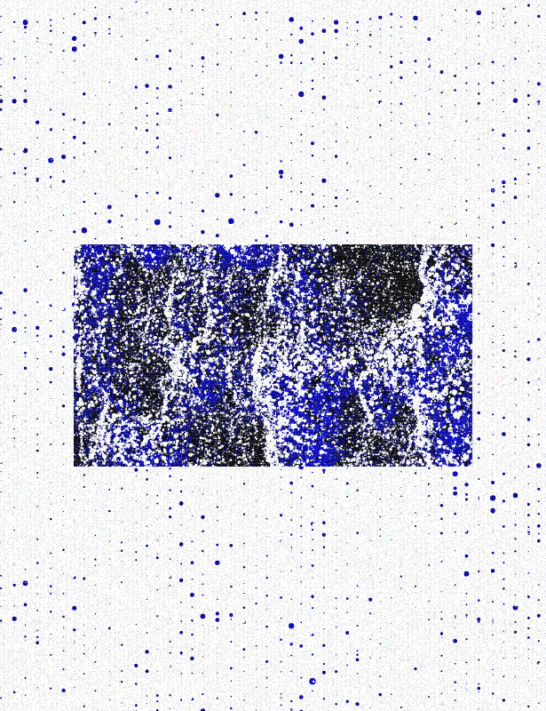 construct//corrupt #37 static token preview
