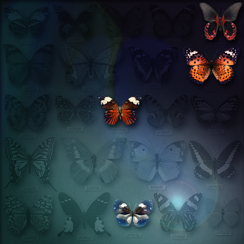 Save Butterfly World #12 static token preview