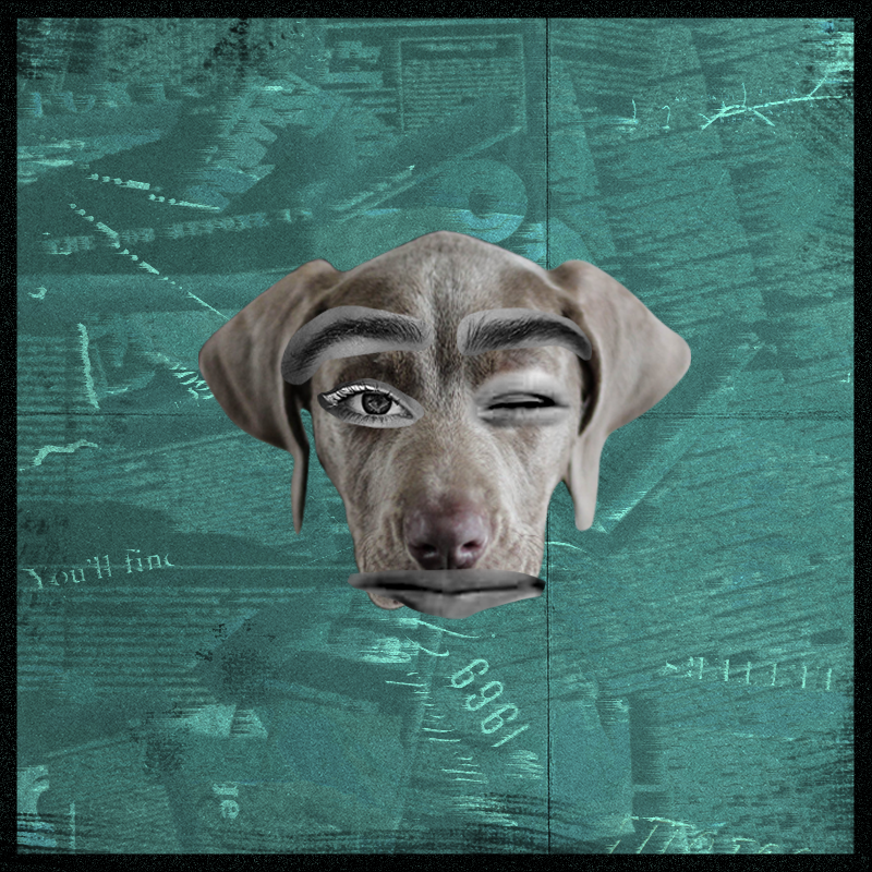 Doggenstein #16 static token preview