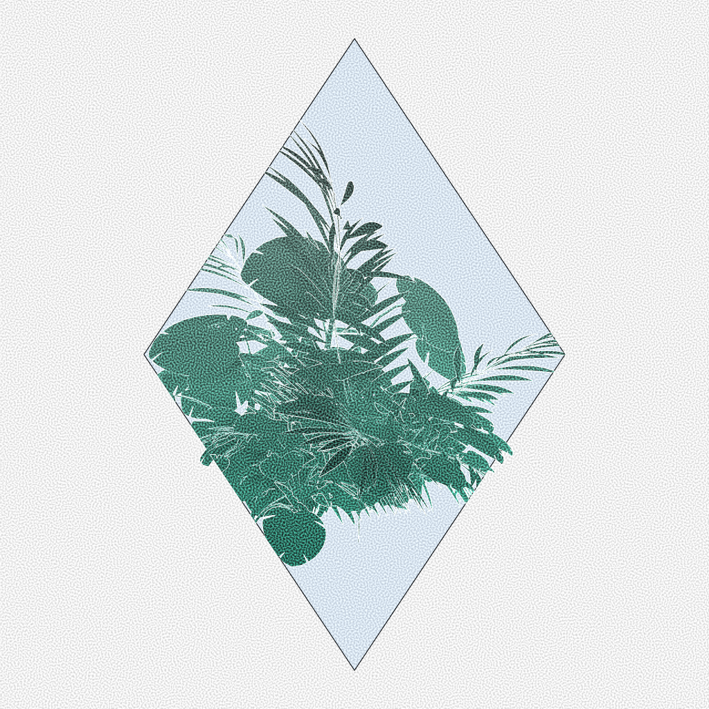 Botany #11 static token preview