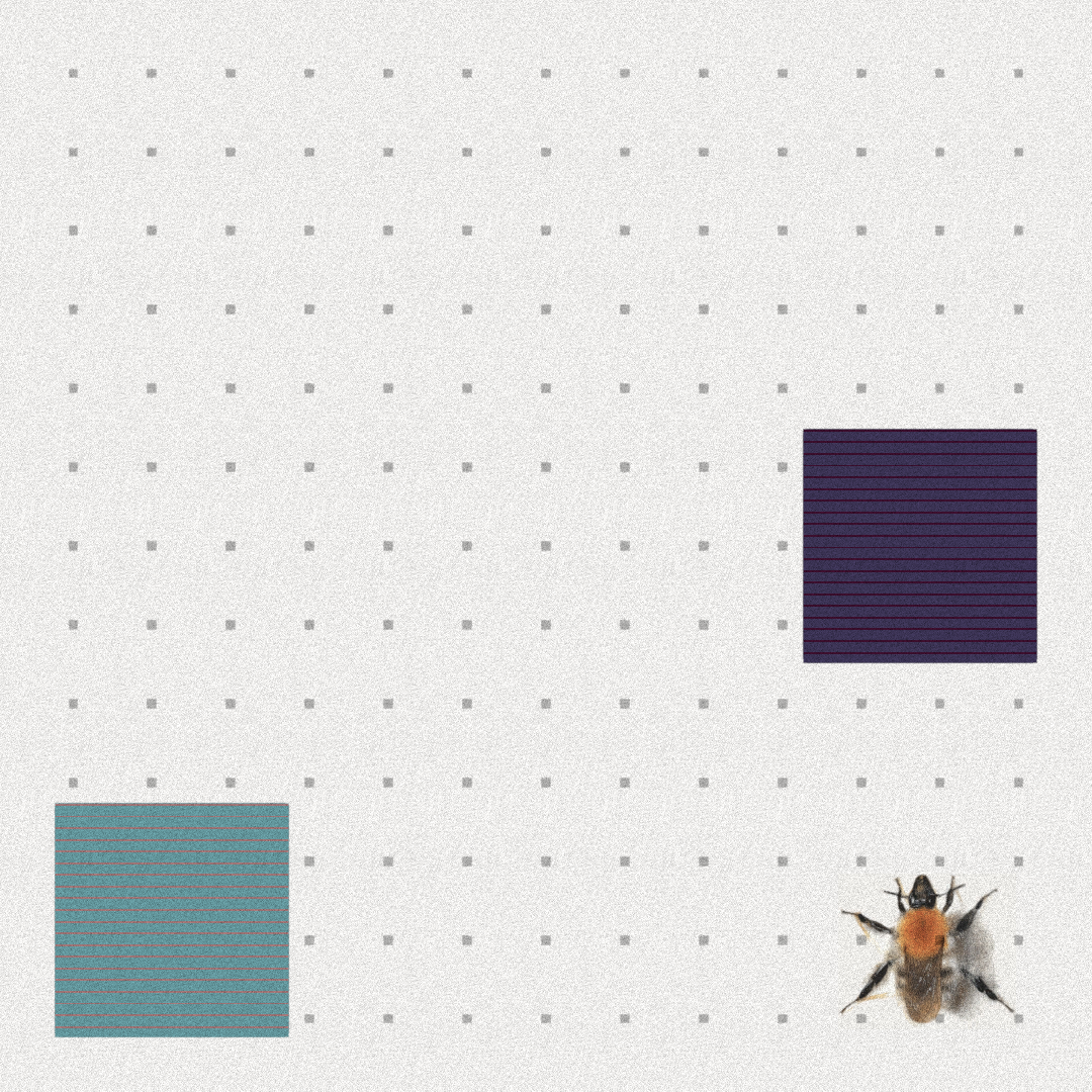 Bee #12 static token preview
