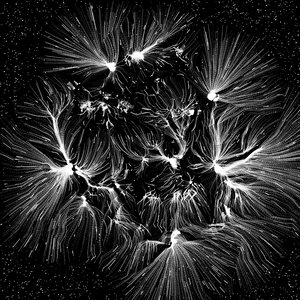 Cosmic Web project preview