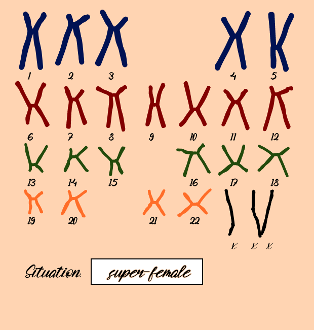 "Karyotype" #18 static token preview