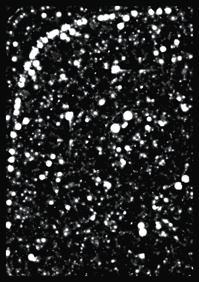 Cosmic Patterns #1 static token preview