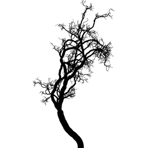 Tree 01 project preview