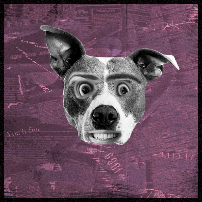 Doggenstein #8 static token preview