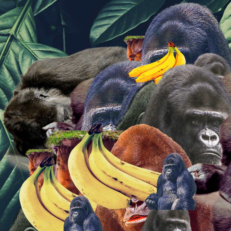 Banana #1 #24 static token preview