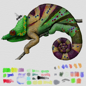 Colorful Cameleon project preview
