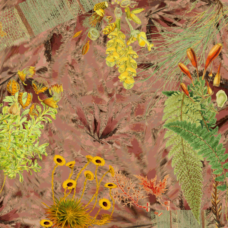 future flora from Antarctica's past #13 static token preview