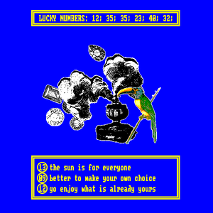 Book Of Fortune project preview