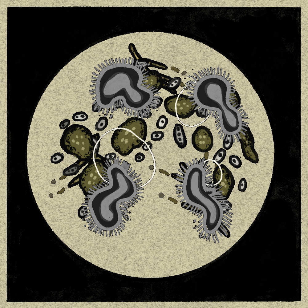 Microbes #191 static token preview